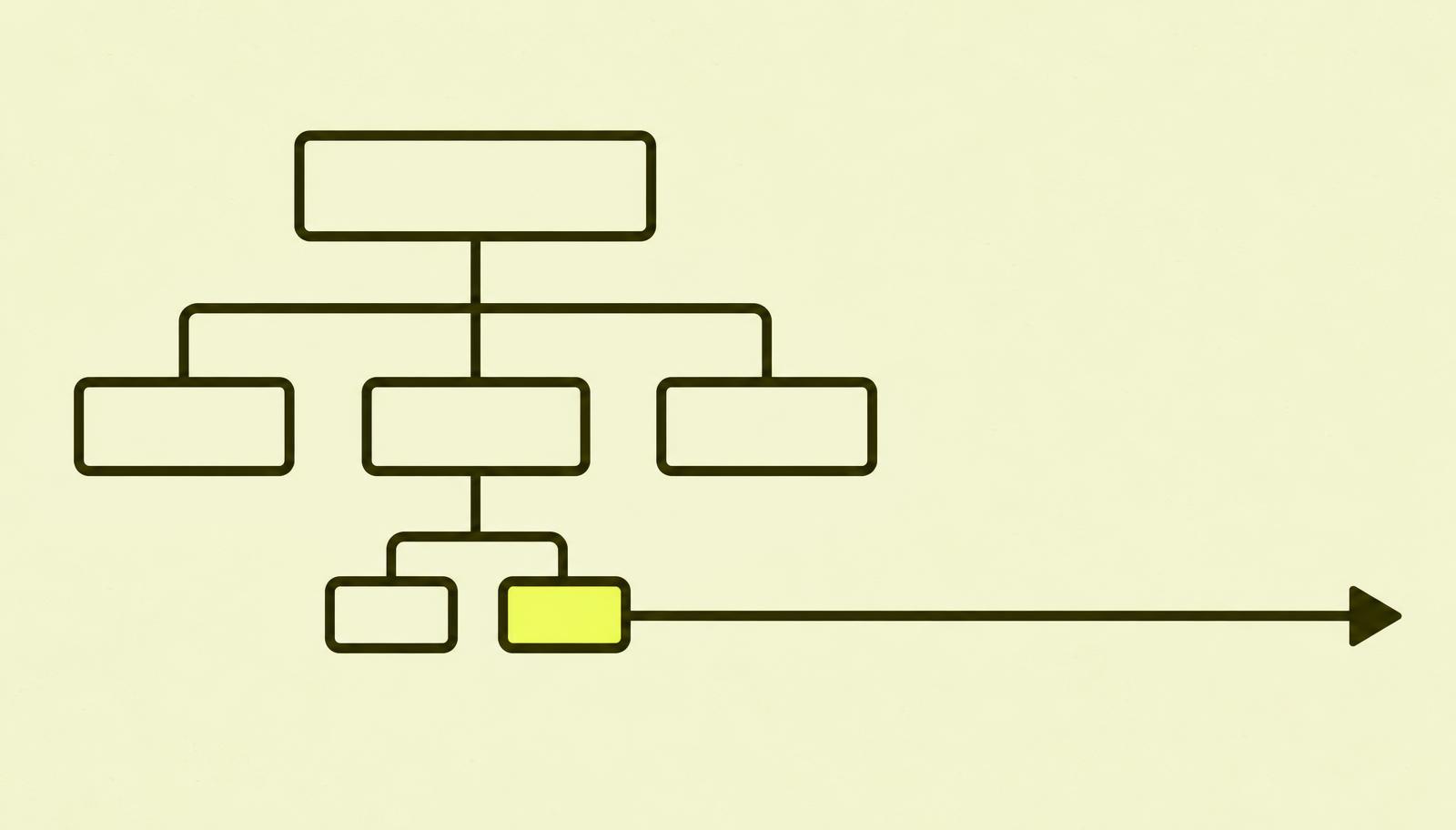 A tree structure where one main category branches into subcategories, and one branch is filled.
